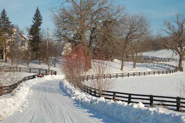 winter09 in mn